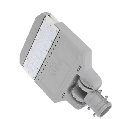 LED FAVOURITE Street STL02 50W 85-265V Переносные светильники